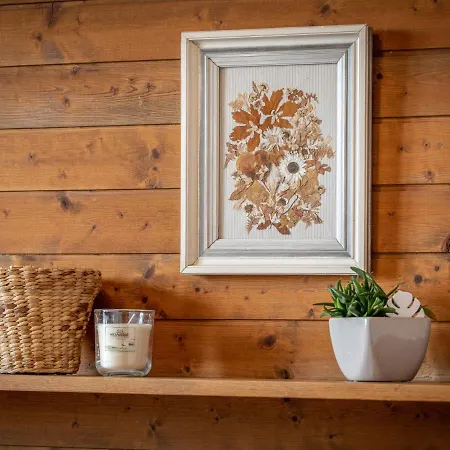 Dunes Et Bois By Interhome Alpesi faház Ovronnaz